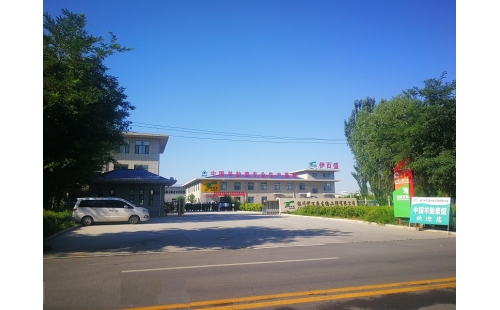 喜訊！熱烈祝賀我公司榮獲“自治區(qū)農(nóng)業(yè)高新技術(shù)企業(yè)”殊榮